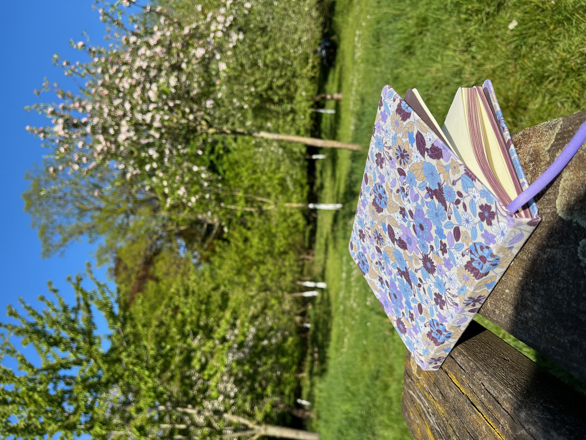 Le journaling est-il bon pour vous (ou pas) ?